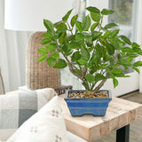 Small Artificial Ficus Tree Plants Green Leaves Potted for Home - 15.3"