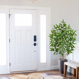 Artificial Eucalyptus Tree Fake Plant Potted for Home - 5ft