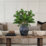 29.1" Artificial Magnolia Leaves Greenery Branches Stems - 3pcs