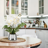 White Orchids Artificial Flowers in Silver Pot Faux Phaleanopsis Orchid Bonsia