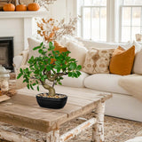 Artificial Banyan Tree Potted Fake Bonsai Tree - 8"
