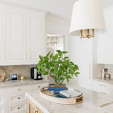 Small Artificial Ficus Tree Plants Green Leaves Potted for Home - 15.3"