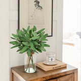15.4" Artificial Long Narrow-leaf Eucalyptus with Faux Water in Glass Vase