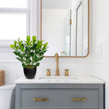 Artificial Zamioculcas Plants Potted with Black Pot for Home Decor - 18''