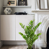 Artificial Zamioculcas Plants Tree Fake Silk Potted - 3ft, 2 Pack