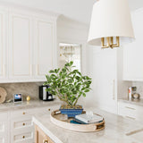 Small Artificial Ficus Tree Plants White Leaves Potted for Home - 15.3"