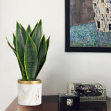16" Artificial Snake Sansevieria Plant Potted with White Ceramic Pot