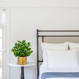 Artificial Zamioculcas Plant Faux Tropical Potted with Gold Pot - 11.8in
