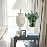 14'' Artificial Snake Sansevieria Plant Potted with Wooden Stand
