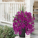 Red Artificial Bougainvillea Flowers Long Stems Branches - 33.5"