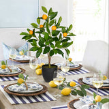 2ft Artificial Orange Trees Fake Citrus Trees Potted Floor Plants, 2 Packs