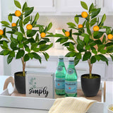 2ft Artificial Orange Trees Fake Citrus Trees Potted Floor Plants, 2 Packs