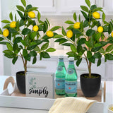 2ft Artificial Lemon Trees Fake Citrus Trees Potted Floor Plants, 2 Packs