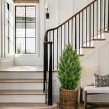 3ft Artificial Cedar Topiary Trees Fake Shrubs Cypress Trees - 2pcs