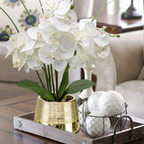 Artificial White Phalaenopsis Orchid Flower Arrangements Faux Orchid Flower