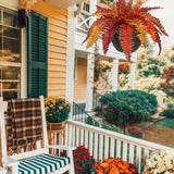 Fall Artificial Boston Fern Hanging Baskets Plant Potted