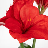 Artificial Amaryllis Flowers Bulbs Moss Potted with Blue Ceramic Pot - Red