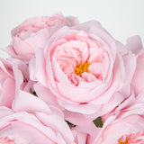 Artificial Roses Flowers Bouquet with Clear Faux Water Glass Vase - Pink